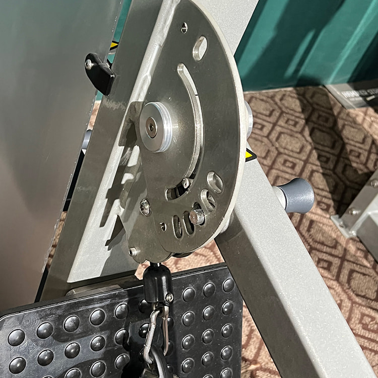 Otot tarik belakang tinggi <br /> hs-pd Otot tarik belakang tinggi <br /> hs-pd