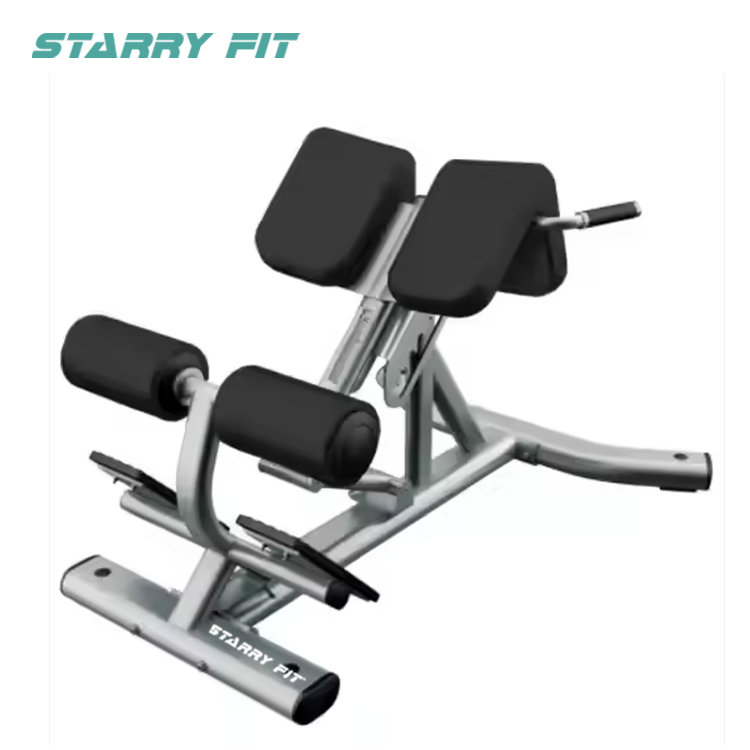 Back Extension <BR /> LF-B-SBE Back Extension <BR /> LF-B-SBE