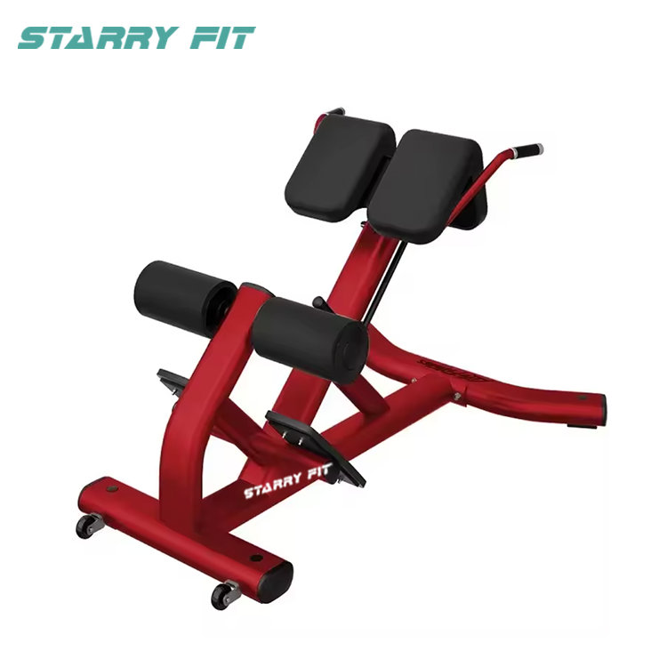 Back Extension <BR /> LF-B-SBE Back Extension <BR /> LF-B-SBE