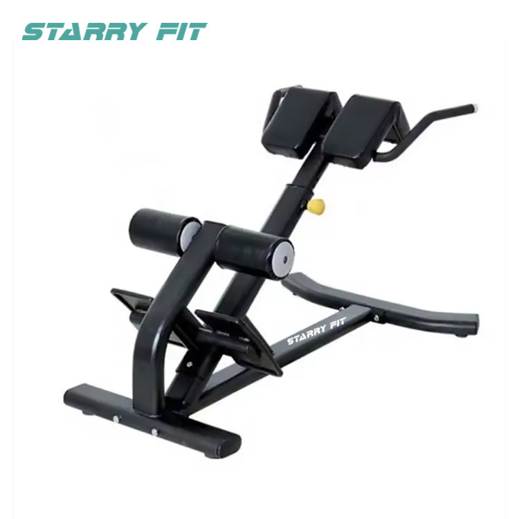 Back Extension <BR /> LF-B-SBE Back Extension <BR /> LF-B-SBE