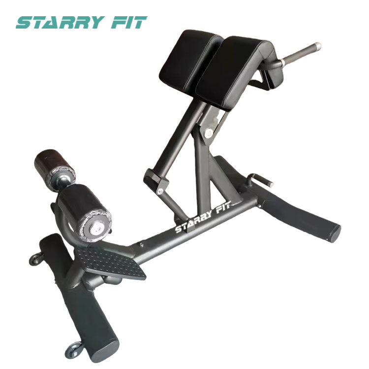 Back Extension <BR /> LF-B-SBE Back Extension <BR /> LF-B-SBE