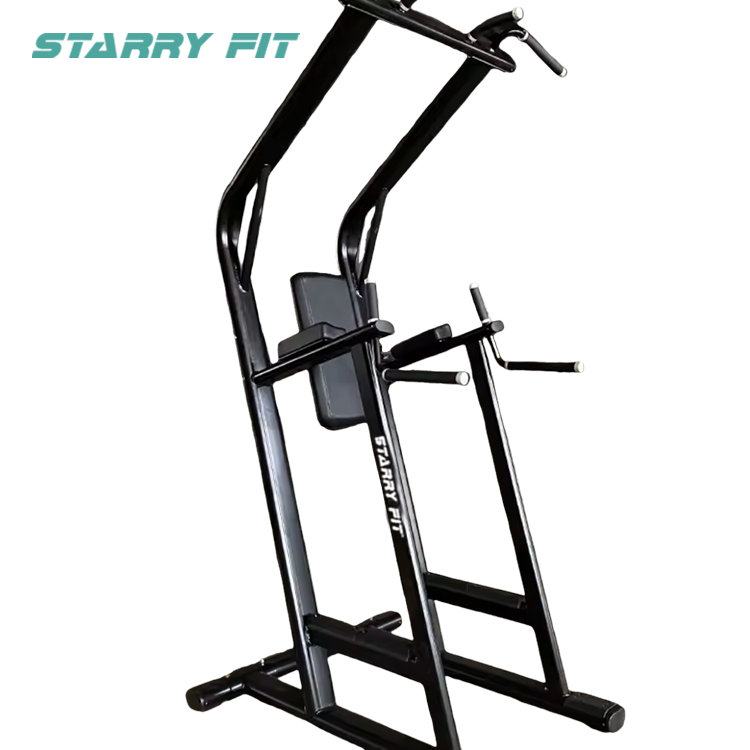 Leg Raise <br /> LF-L-SCDLR Leg Raise <br /> LF-L-SCDLR