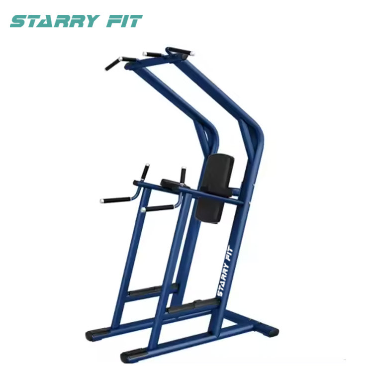 Leg Raise <br /> LF-L-SCDLR Leg Raise <br /> LF-L-SCDLR