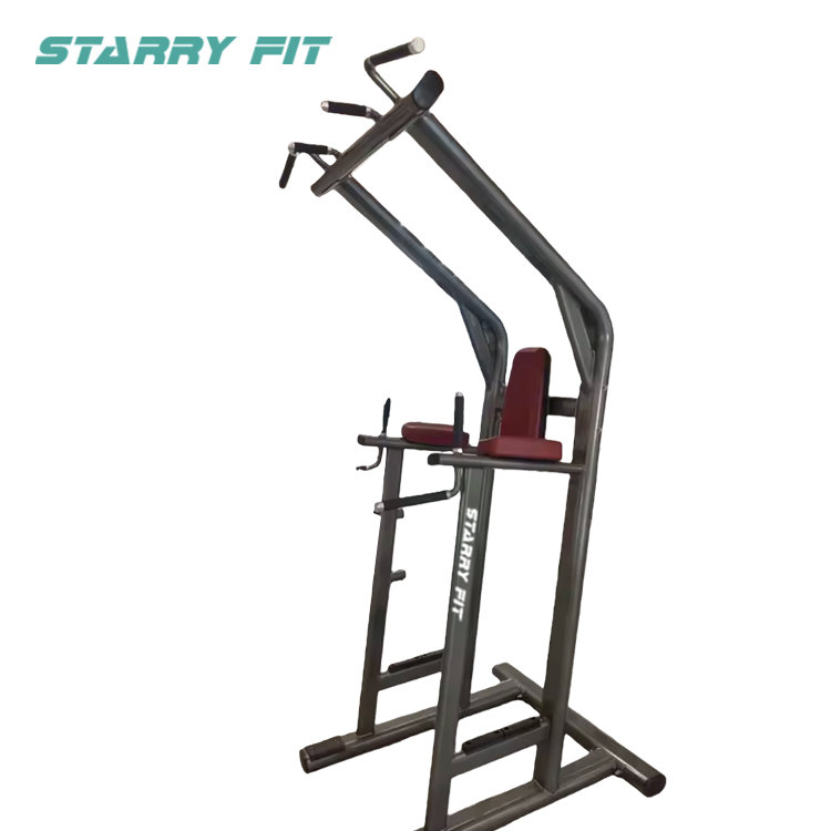 Leg Raise <br /> LF-L-SCDLR Leg Raise <br /> LF-L-SCDLR