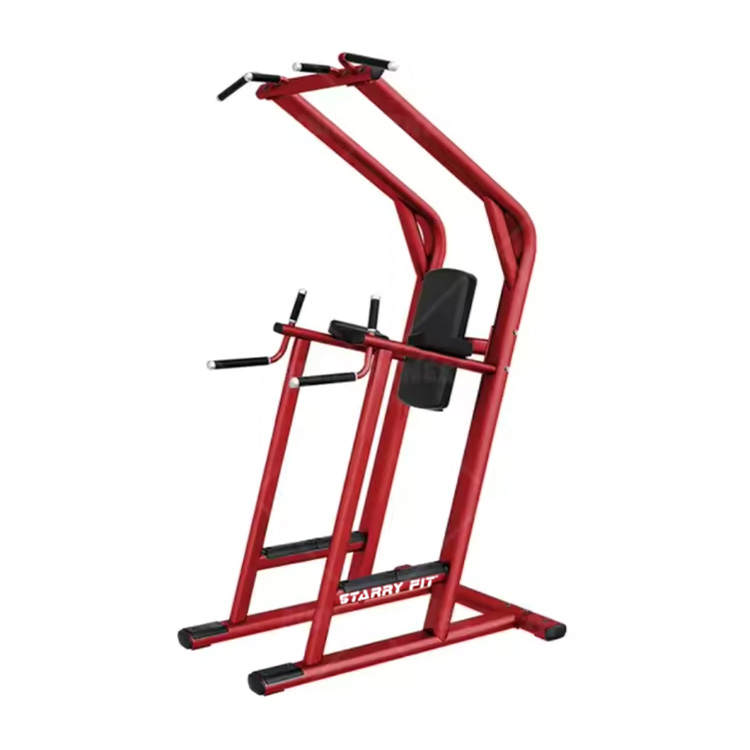 Leg Raise <br /> LF-L-SCDLR