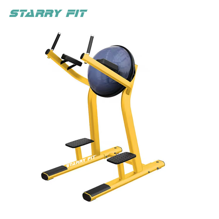 Leg Raise <br /> LF-R-SLR Leg Raise <br /> LF-R-SLR