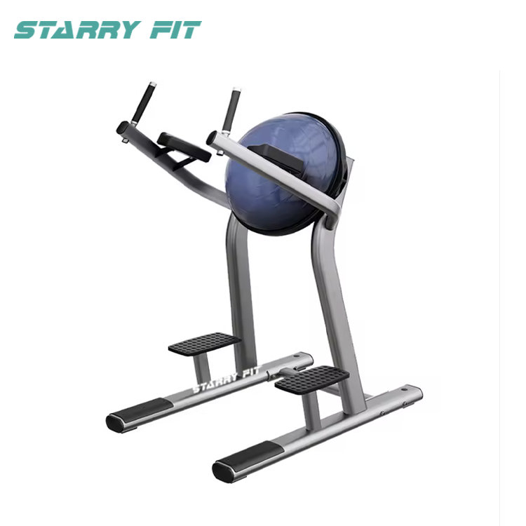 Leg Raise <br /> LF-R-SLR Leg Raise <br /> LF-R-SLR