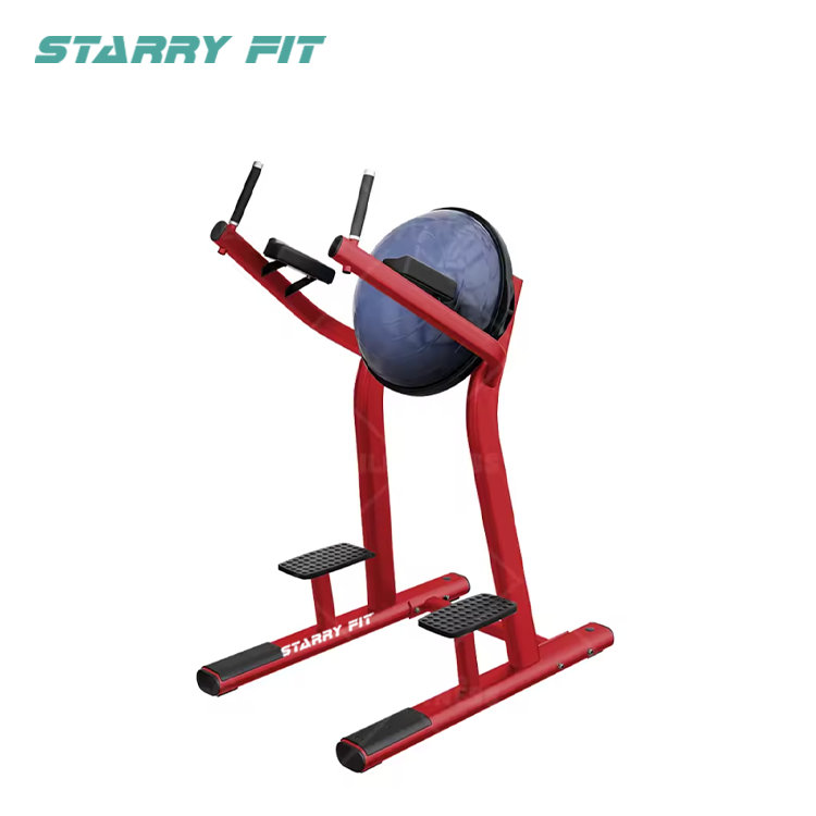 Leg Raise <br /> LF-R-SLR Leg Raise <br /> LF-R-SLR