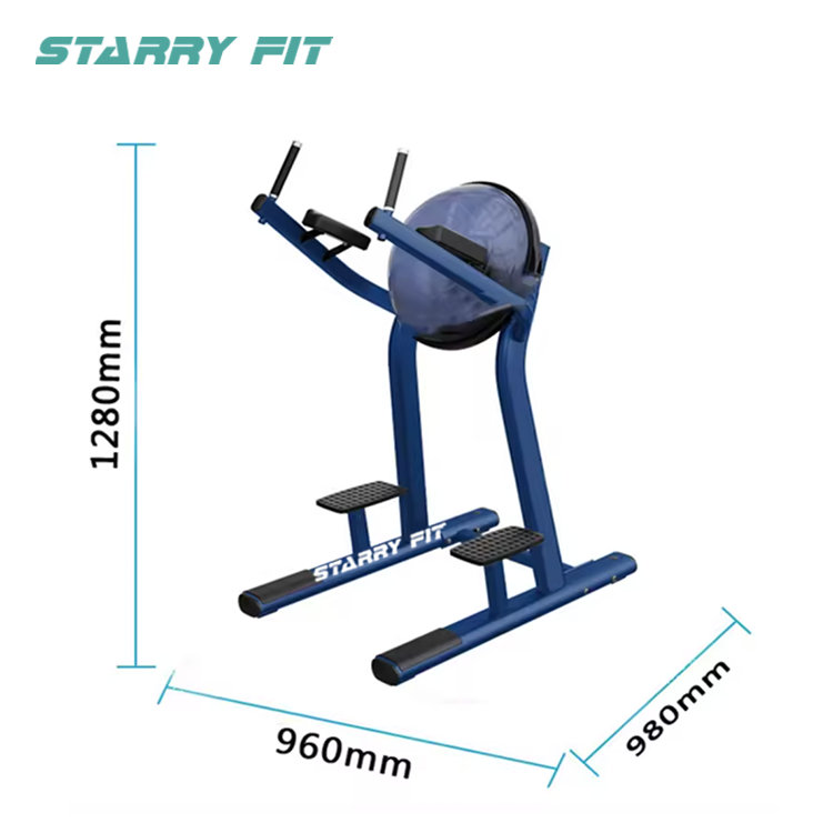 Leg Raise <br /> LF-R-SLR Leg Raise <br /> LF-R-SLR