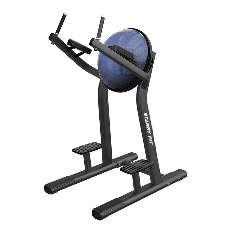 Leg Raise <br /> LF-R-SLR