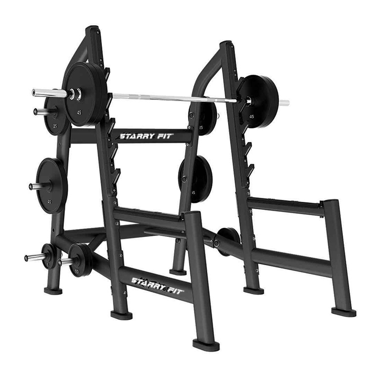 Squat Rack <B /> LF-R-SOSR