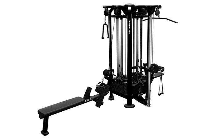 Kehidupan Kecergasan